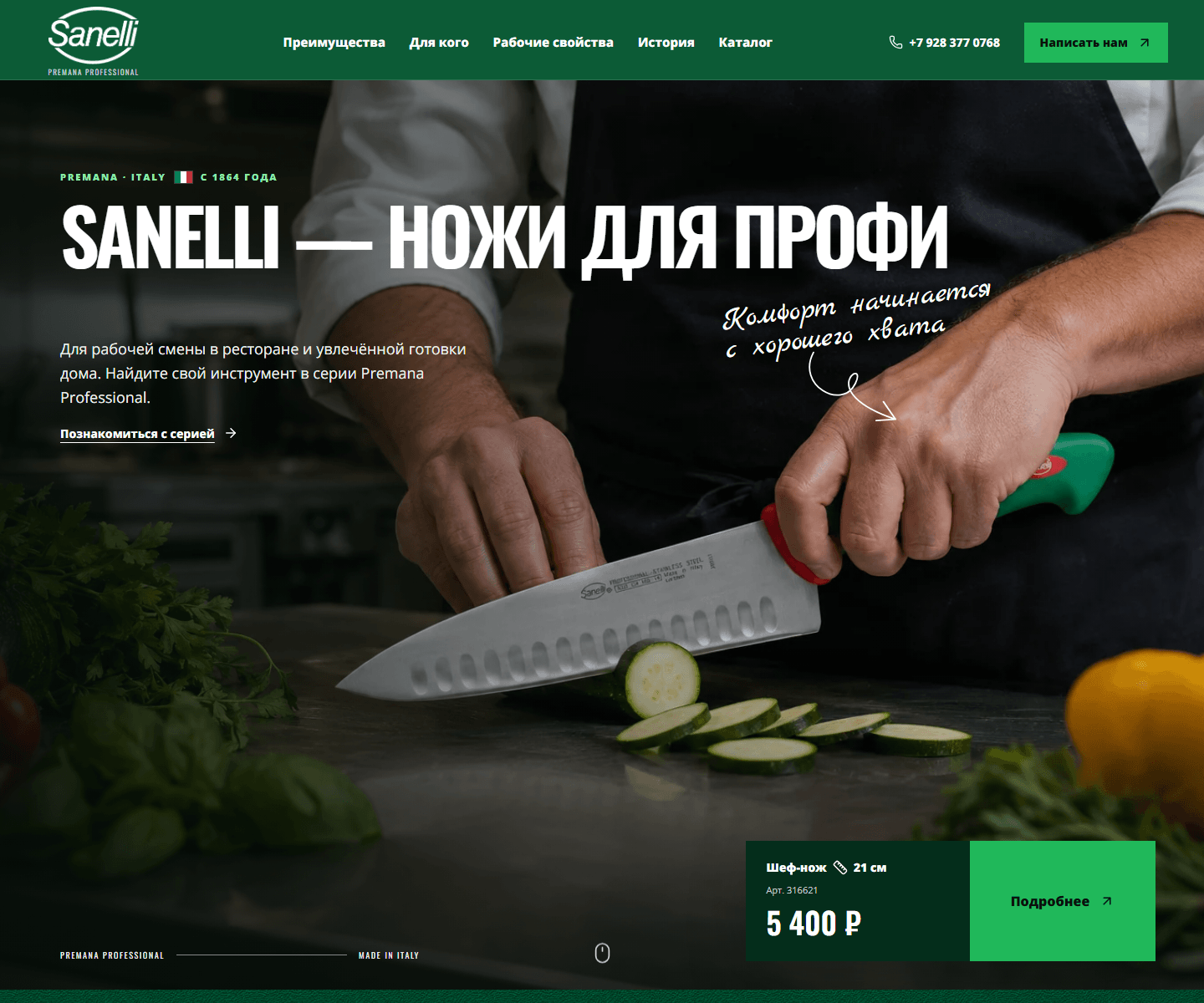 Первый экран лендинга Sanelli Russia